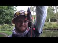 Topwater Lure Pike UK! Savage  Takes Using Ducks, Frogs, Bats, Rats