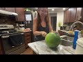 Watermelon Growing Mistakes! Breaking All The Rules