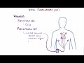 Atrial fibrillation (A-fib, AF) - causes, symptoms, treatment & pathology