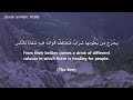 Ayat Shifa - The Healing Verses - ايات الشفاء
