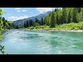 River Whirlpools And Birdsong | 10 Hr | Sounds For Sleep Study Focus And Relaxation