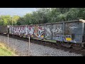 Norfolk Southern Mixed Freight Train: NS 8172, NS 8089, and NS4078