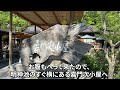 【夜行バスで行く】上高地1泊2日の女ひとり旅