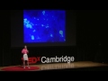 Rethinking the Brain Machine Interface | Polina Anikeeva | TEDxCambridge