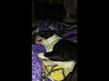 12:00 am video about my doggo