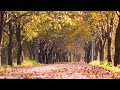 Relaxing Pure Music -- Piano, Stop Overthinking, Reduce Anxiety, Induce Calm, Inner Peace #20