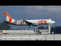 ✈️ 90 CLOSE UP LANDINGS in 60 MINUTES at SAO PAULO 🇧🇷 Airport BRAZIL Plane Spotting [GRU/SBGR]