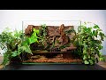 Paludarium Made With a Recycled Reptile Hide 10 Step Build