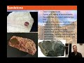Geology 10 (Sedimentary Rocks)