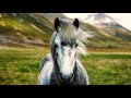 ICELAND - Magnificent Scenery, Soothing Music