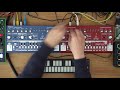 Behringer TD-3: Arpeggiator? Here it is – mesmerizing …