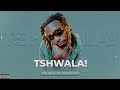“Tshwala!” Shallipopi x Asake x Amapiano type beat | Amapiano instrumental