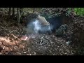 Wild camp in the forest. Excavated a natural shelter at a large tree root. Sleeping under the ground