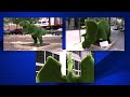 Dinosaur topiaries roar into downtown Raleigh