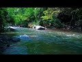 Relaxing river sounds for sleeping healing meditation soothing study