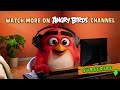 Every Angry Birds ASMR Needlefelt Wool Craft EVER!