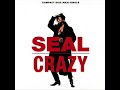Seal - Crazy [William Orbit Mix]