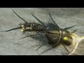 B.H Biot Stonefly Black fly tying instructions by Ruben Martin