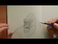 How to Draw Kong 2024 part2