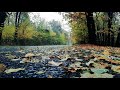 Calm Relaxing rain sound : Soothing Meditative Music, Sleep music(This will calm you down instantly)