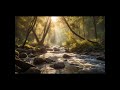 Relaxation Music Healing & Soothing Mind, Fast Sleep with Soft piano & Nature Sound #relaxing #music