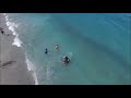 Mullet Run 2021 Juno Beach (Drone)