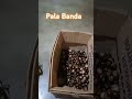 pala Banda