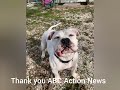 Thank you ABC Action News for helping our Pet Food Drive