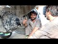 Hino Truck Differential Gear Repair||How to Rebuild Truck Differential Gear||