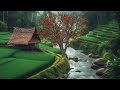 Spa Music with Soft Water Sounds, Relaxing Music, Healing Music, Sleep Music