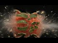 2 Minute Timer BOMB 💣 Huge Watermelon Explosion 💥🍉