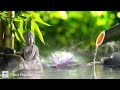 Bamboo Water Fountain Relax Get Your Zen Music therapy Relaxing Music Meditation Music - BambooWater