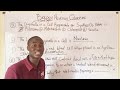 Final revision Likely 2024 Jamb biology Questions tutorial(Get 90+ in Your BIOLOGY)