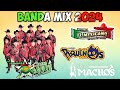 Banda Maguey, Machos, Mi Banda El Mexicano, Banda Pequenos - Banda Viejitas Pero Bonitas Mix Movidas