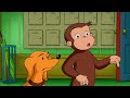 The BEST Full Episodes 🐵 Curious George 🐵 Kids Cartoon 🐵 Kids Movies 🐵 Videos for Kids