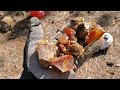 Opal Discovery in Eastern Washington // Rockhounding History in The Making