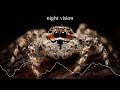 Martinbeatz - Night Vision [Techno]