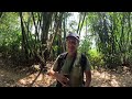 KHAO SOK NATIONAL PARK WILDLIFE HIKE (Tarantula, Vipers, Monkeys, Spiders, Lizards) (4K)