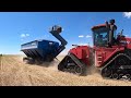 2023 Anton Colorado Wheat Harvest with Meinke Farms