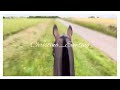 Intro for Christina_eventing | Horse_CrZy