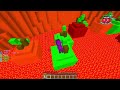 NABEE THỬ THÁCH 24H CHƠI TRỐN TÌM CAPYBARA SIÊU CUTE TRONG MINECRAFT*NABEE TRỐN TÌM 🤫🍊