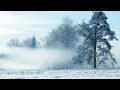 Calm Music for Reading Books, Tranquil Sleep Music, Background Music, Cleansing Aura Sounds