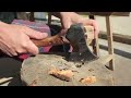 How To Carve A Kuksa From Burr / Burl - Martin Hazell