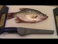 Ice fishing Crappie