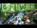 Amazing waterfall with Calm Water Sounds - Excellent for Meditation, Relaxation, Sleeping, Studying