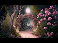 ⭐Beautiful Relaixng Music,Calming Music,Soothing Relaxation,Romantic Music,Sleep Music