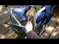 interviewing my pet goose with a tiny microphone