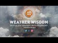 Derechos | Weather Wisom