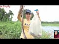 Vietnamese girl catches snakes. Encountered a pair of strange red snakes while visiting the trap.