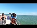 🇺🇸4K-ADVENTURE Boat Ride going to Alcatraz Island in San Francisco,CA/Pier 33..